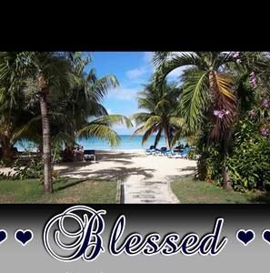 Meet your Posher, Carol